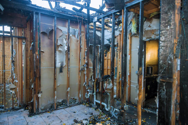 Professional Smoke Damage Removal technician working in Gridley, IL